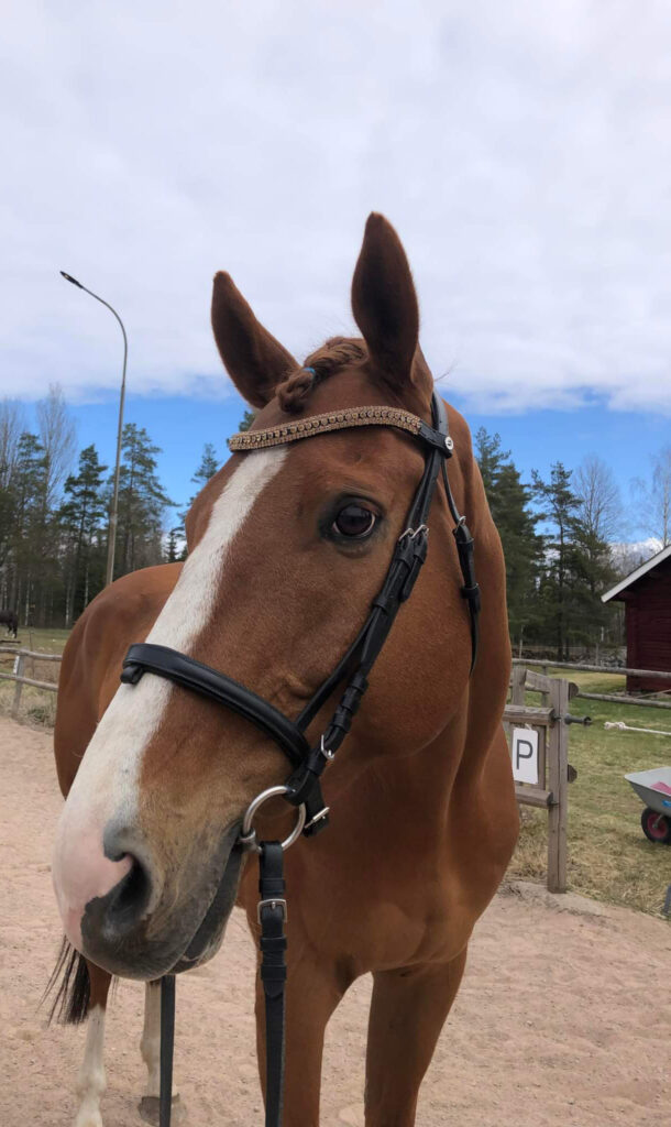 Lio